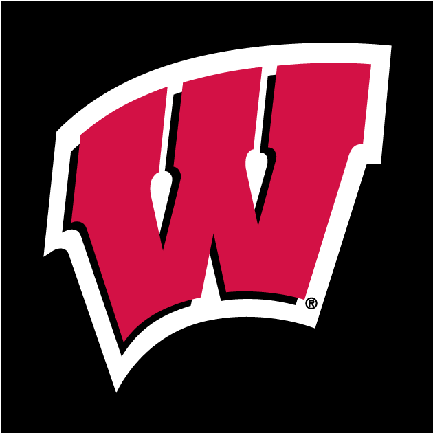 Wisconsin Badgers 1991-Pres Alternate Logo v2 diy DTF decal sticker...